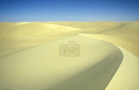 Photo for The Sand Dunes near the Oasis and Village of Siwa in the Libyan or estern Desert of Egypt in North Africa.  Egypt, Siwa, March, 2000 - Royalty Free Image