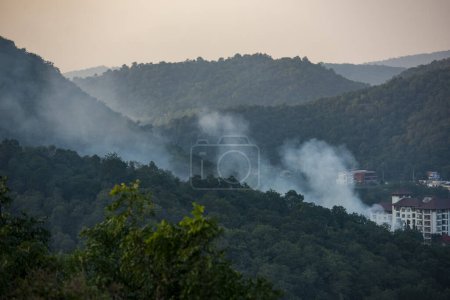 Photo for A Bushfire in the Hills near the City of Hua Hin in the Province of Prachuap Khiri Khan in Thailand,  Thailand, Hua Hin, December, 2023 - Royalty Free Image