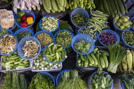 frisches thailändisches Gemüse auf dem Lebensmittelmarkt in der Stadt und Provinz Ratchaburi in Thailand, Thailand, Ratchaburi, 14. November 2023