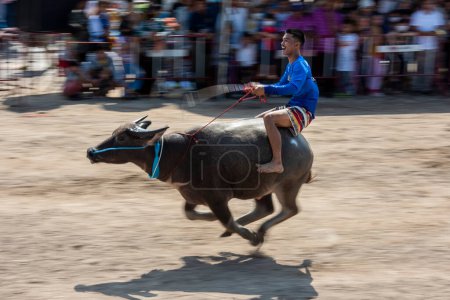 Foto de Agricultor en acción en su Buffalo en Buffalo Race Festival o Wing Khwai en la ciudad de Mueang Chonburi en la provincia de Chonburi en Tailandia. Tailandia, Chonburi, 28 de octubre de 2023 - Imagen libre de derechos