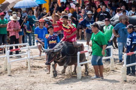 Foto de Un agricultor con su carrera Buffalo en el comienzo del Festival de la carrera de Buffalo o Wing Khwai en la ciudad de Mueang Chonburi en la provincia de Chonburi en Tailandia. Tailandia, Chonburi, 28 de octubre de 2023 - Imagen libre de derechos