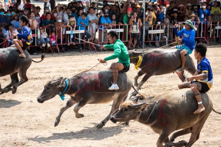 Téléchargez les photos : Fermier en action sur son Buffalo au Buffalo Race Festival ou Wing Khwai à Mueang Chonburi City à Province de Chonburi en Thaïlande. Thaïlande, Chonburi, 28 octobre 2023 - en image libre de droit