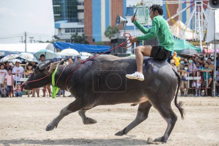 Foto de Agricultor en acción en su Buffalo en Buffalo Race Festival o Wing Khwai en la ciudad de Mueang Chonburi en la provincia de Chonburi en Tailandia. Tailandia, Chonburi, 28 de octubre de 2023 - Imagen libre de derechos