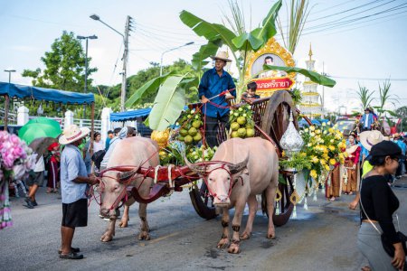 Foto de People and Buffalos at the Parade at Buffalo Race Festival o Wing Khwai in Mueang Chonburi City at Province of Chonburi in Thailand. Tailandia, Chonburi, 28 de octubre de 2023 - Imagen libre de derechos
