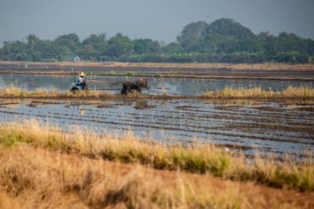 un marco de trabajo con su tractor en un campo de arroz cerca de la ciudad de Mueang Chachoengsao en la provincia de Chachoengsao en Tailandia. Tailandia, Chachoengsao, 3 de noviembre de 2023