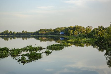the Bang Pakong River at Village Khlong Khuean near city Mueang Chachoengsao City in Province of Chachoengsao in Thailand.  Thailand, Chachoengsao, November, 3, 2023
