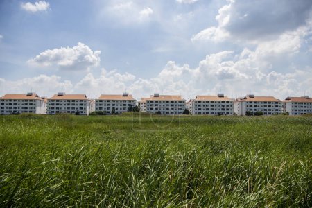 Photo for Apartment houses on a ricefield near the city Mueang Chachoengsao City in Province of Chachoengsao in Thailand.  Thailand, Chachoengsao, November, 6, 2023 - Royalty Free Image