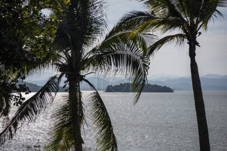 Téléchargez les photos : Paysage et nature au barrage du lac Kaeng Krachan dans le parc national Kaeng Krachan dans la province de Phetchaburi en Thaïlande au 19 novembre 2024. - en image libre de droit