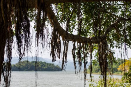 Landscape and Nature at the Lake Kaeng Krachan Dam in the Kaeng Krachan National Park in the Province of Phetchaburi in Thailand at November 19, 2024.