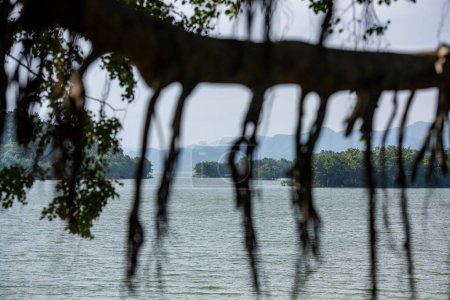 Téléchargez les photos : Paysage et nature au barrage du lac Kaeng Krachan dans le parc national Kaeng Krachan dans la province de Phetchaburi en Thaïlande au 19 novembre 2024. - en image libre de droit
