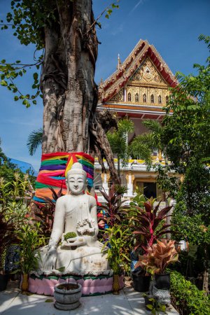 Photo for A Buddha at Wat Samphanthawongsaram Worawihanra or Wat Koh in China Town in the city of Bangkok in Thailand.  Thailand, Bangkok, November, 8, 2023 - Royalty Free Image