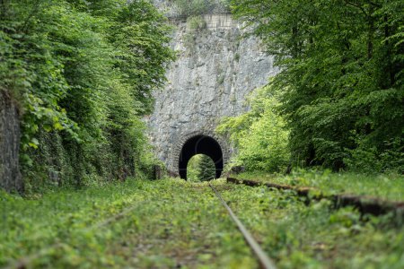 Photo for A railway tunnel that leads through a rock face in the forest - Royalty Free Image