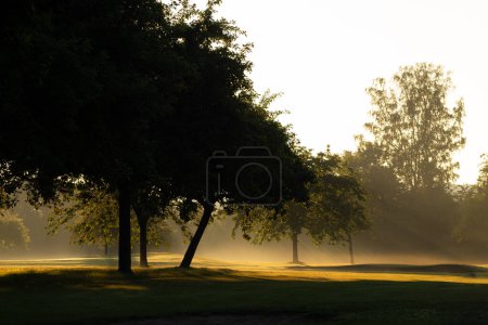 Photo for Sunrise - Sunrays illuminate the meadow and trees cast shadows - Royalty Free Image