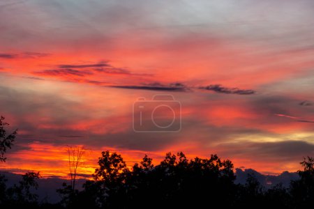 Photo for Sunset - Burning Sky - Cloudscape and Tree Silhouette - Royalty Free Image