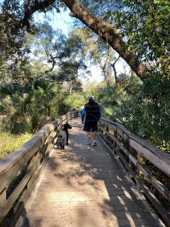 Téléchargez les photos : Les sentiers de randonnée dans un parc d'État à Orlando, Floride. - en image libre de droit