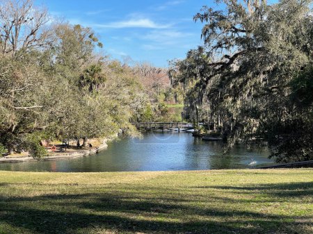 Foto de Orlando, FL USA - January 14, 2021:  The hiking trails at Wekiwa State Park in Orlando, Florida. - Imagen libre de derechos