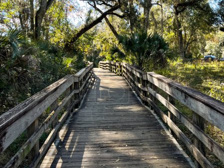 Téléchargez les photos : Les sentiers de randonnée dans un parc d'État à Orlando, Floride. - en image libre de droit