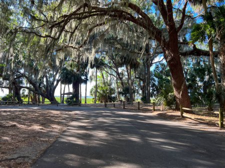 Téléchargez les photos : Le chemin vers le lac à Trimble Park à Mount Dora, Floride par une journée ensoleillée. - en image libre de droit
