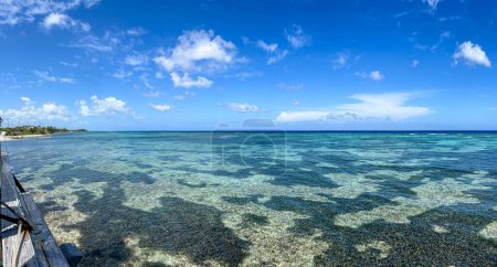 The reef off of the north side of Cayman Islands on a beautiful sunny day.