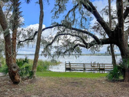 The lake at Trimble Park in Mount Dora, Florida on a sunny winter day.