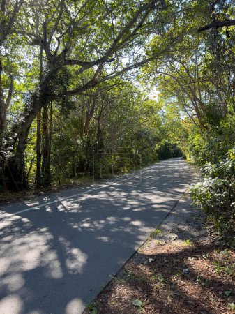 Ft. Lauderdale, FL États-Unis - 15 janvier 2022 : Les sentiers de randonnée dans Hugh Taylor Birch State Park près de la plage à Ft. Lauderdale, Floride par une journée d'hiver ensoleillée.