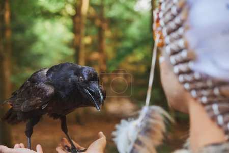 Téléchargez les photos : Amérindien tenant un corbeau dans la forêt du soir. - en image libre de droit