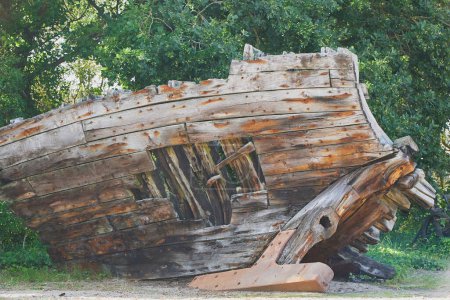 Photo for The rotten remains of an old wooden ship in Denmark. - Royalty Free Image