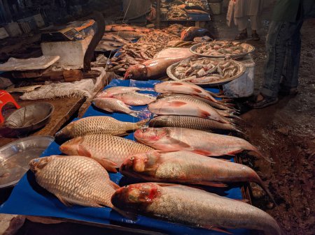 Foto de Mariscos en el mercado de pescado - Imagen libre de derechos