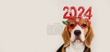 Feliz Año Nuevo y Feliz Navidad 2024 banner de felicitación o postal. Un perro beagle en gafas de carnaval con los números del Nuevo año 2024. Copiar espacio.