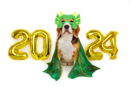Feliz Año Nuevo 2024 y Feliz Navidad. Un perro beagle en un traje de dragón, globos de helio con los números 2024 sobre un fondo blanco aislado. 