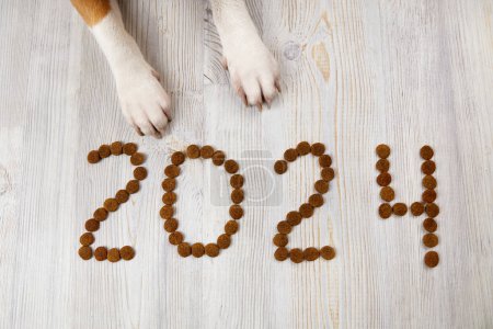 Photo for 2024 are lined with pellets of dry food and dog paws. Happy New Year 2024 with a pet. - Royalty Free Image