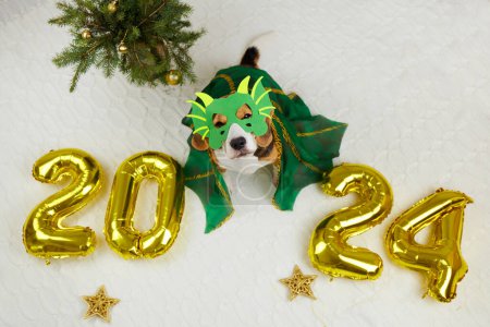 Un perro beagle disfrazado de dragón, globos de helio con los números 2024. Feliz Año Nuevo 2024 y Feliz Navidad. Vista superior