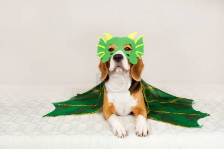 Un perro beagle disfrazado de dragón. El símbolo del nuevo año 2024. 