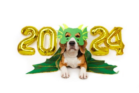 Un perro beagle disfrazado de dragón, globos de helio con los números 2024 sobre un fondo blanco aislado. Feliz Año Nuevo y Feliz Navidad.