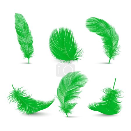 Vector 3d Realistic Green Fluffy Feather Set isoliert auf weißem Hintergrund. Design-Vorlage von Flamingo, Engel, Vogel Detaillierte Federn. Leichtigkeit, Freiheitsbegriff.