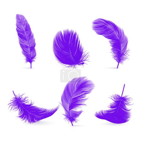 Vector 3d Realistic Purple Fluffy Feather Set isoliert auf weißem Hintergrund. Design-Vorlage von Flamingo, Engel, Vogel Detaillierte Federn. Leichtigkeit, Freiheitsbegriff.