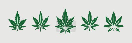 Illustration for Green Cannabis Leaves. Hemp, Cannabis Leaf Icon Set Closeup Isolated on White Background. Growing Medical Marijuana. Vector Illustration. - Royalty Free Image