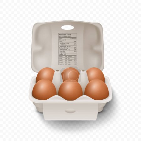 Ilustración de 6 huevos de pollo marrón realistas de seis vectores 3d en caja de papel de cartón abierta, envase, embalaje. Conjunto de huevos de pollo, aislado. Vector crudo huevos enteros. Pack de huevos en vista frontal. - Imagen libre de derechos