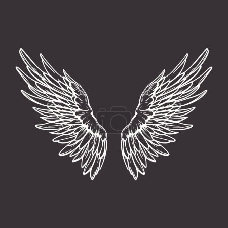 Ilustración de Vector Wings Icon. Vintage Angel Wings Icono, Plantilla de diseño, Clipart. Alas de Cupido, Ángel o Pájaro. Ilustración vectorial. - Imagen libre de derechos