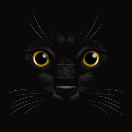 Ilustración de Vector 3d realista amarillo gatos ojo de un gato negro en la oscuridad, por la noche. Cara de gato con Sí, Nariz, Whiskers on Black. Primeros planos del gato Mira en la oscuridad. Vista frontal. - Imagen libre de derechos