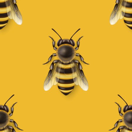 Vector Seamless Pattern with 3d Realistic Detailed Honey Bee Icon Closeup on Yellow Background. Queen Honeybee Design Template, Vector Illustration of Bee in Macro, Top View.