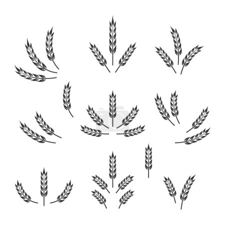 Téléchargez les illustrations : Ensemble d'icônes de blé agriculture vectorielle plate isolé, blé biologique, oreilles de riz. Modèle de conception pour pain, logo de bière, emballage, étiquettes. - en licence libre de droit