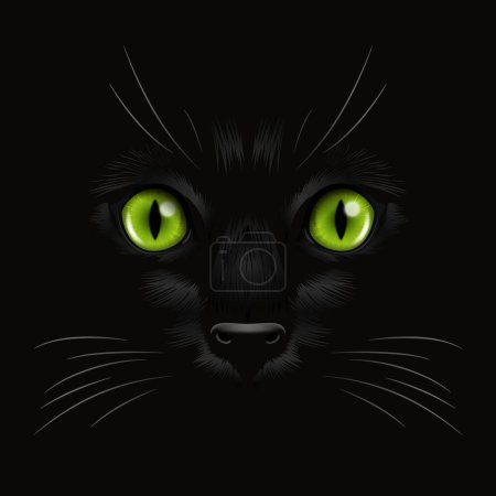 Illustration for Vector 3d Realistic Green Cats Eye of a Black Cat in the Dark, at Night. Cat Face with Yes, Nose, Whiskers on Black. Cat Closeup Look in the Darkness. Front View. - Royalty Free Image