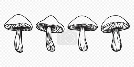 Téléchargez les illustrations : Vector Champignons dessinés à la main en noir et blanc. Illustration de champignons, Collection de champignons, Modèle de conception de champignons dessiné à la main. - en licence libre de droit