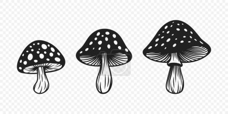Vector Black and White Hand-Drawn Cartoon Mushrooms. Mushroom Illustration, Mushrooms Collection, Hand-Drawn Mushroom Design Template.