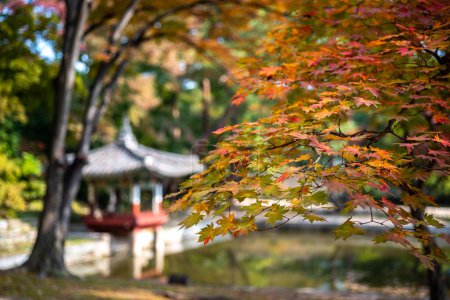 Photo for Changdeokgung royal palace of the Joseon dynasty in Autumn in Seoul South Korea on 23 October 2021 - Royalty Free Image