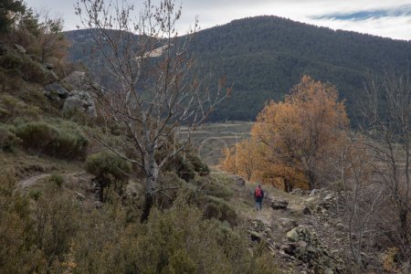 Téléchargez les photos : Montagnes enneigées sous un ciel nuageux dans la vallée de Boi en Pyrénées en Catalogne - en image libre de droit