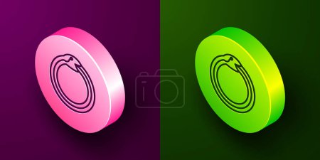 Ilustración de Isometric line Magic symbol of Ouroboros icon isolated on purple and green background. Snake biting its own tail. Animal and infinity, mythology and serpent. Circle button. Vector. - Imagen libre de derechos