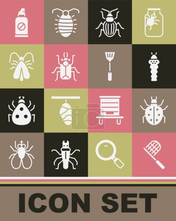Set Schmetterlingsnetz, Milben, Larven, Käfer, Käfer, Kleidermotte, Spray gegen Insekten und Fliegenklatsche Symbol. Vektor