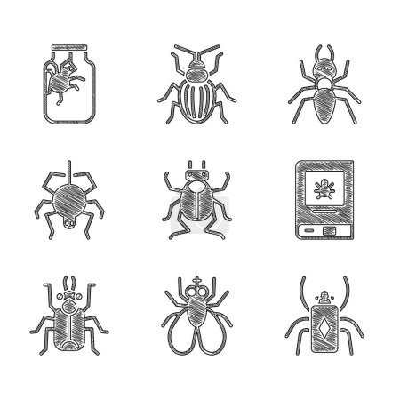 Ilustración de Set Escarabajo insecto, mosca insecto, libro sobre insectos, araña, hormiga y el icono del frasco. Vector - Imagen libre de derechos